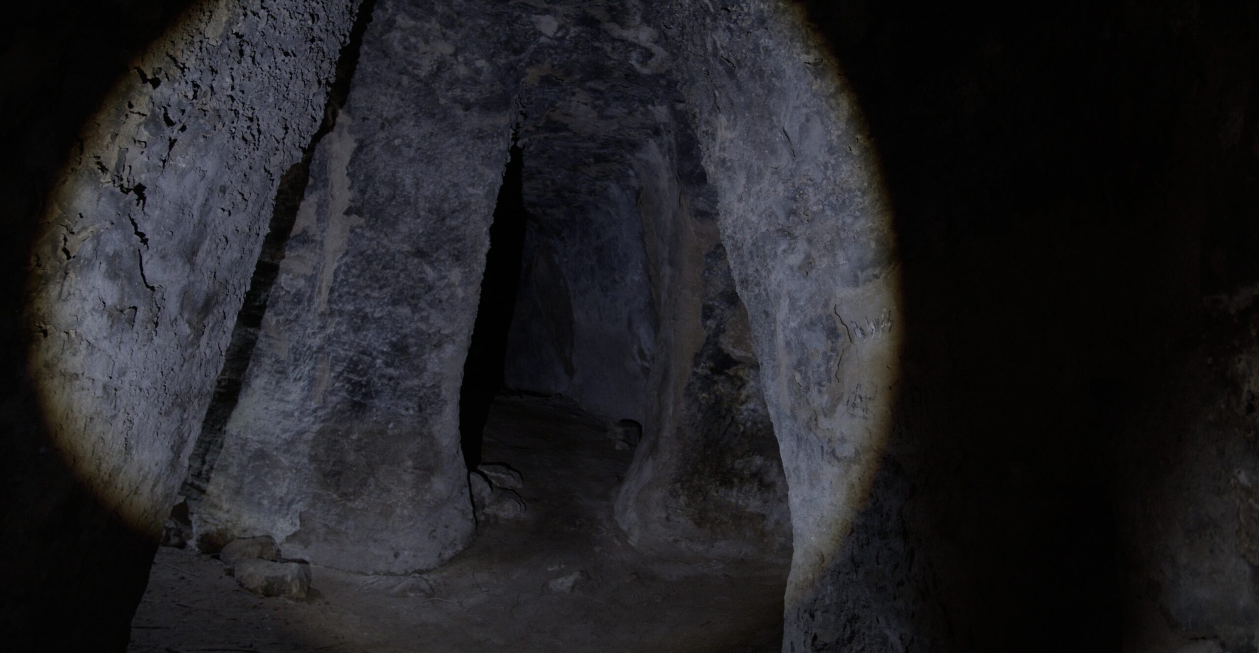 Serpiente/Hápax. Tímpano/Búnker.